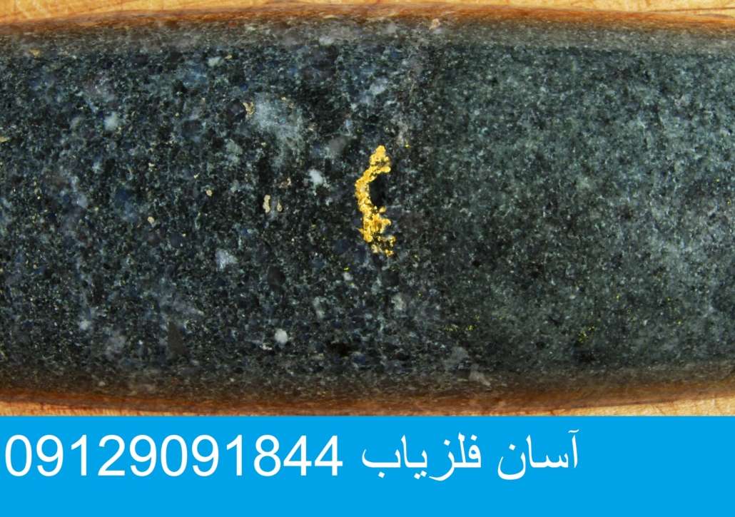 پودر طلا